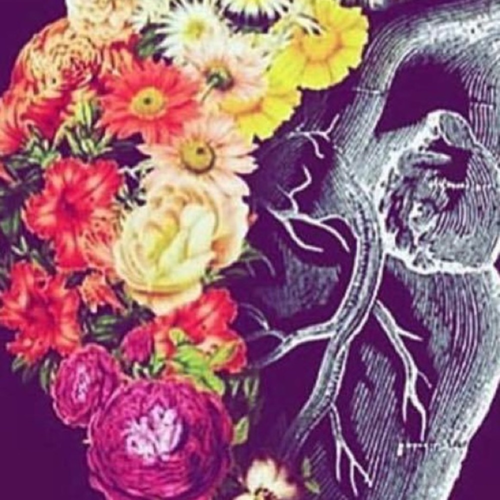 Meet your Posher, BostonFrugal